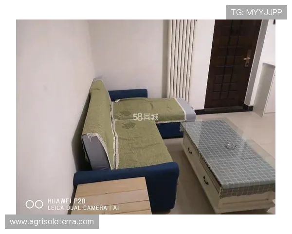 亚星租房信息网官网最新房源信息全面介绍